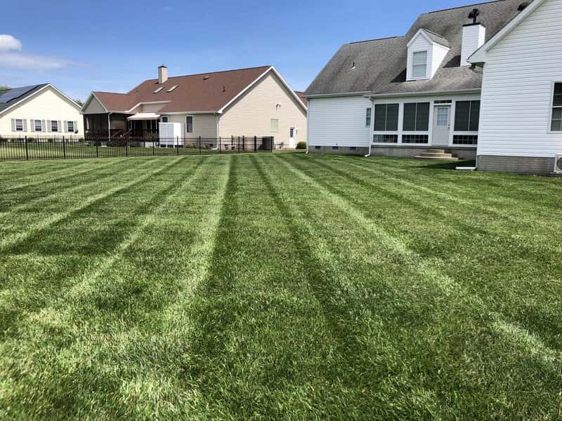 Lawn Care & Maintenance