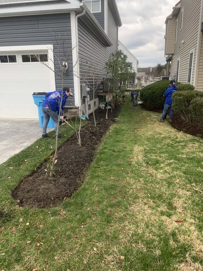 Seasonal Cleanup